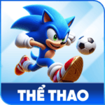 icon-the-thao-s8
