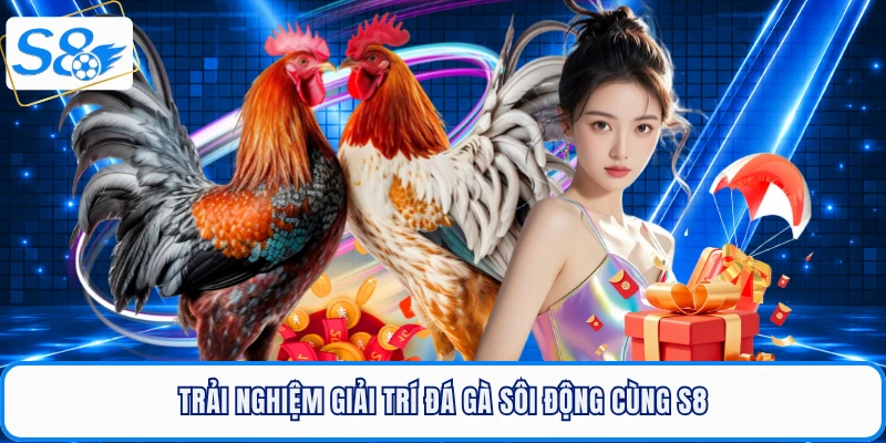 Trải nghiệm giải trí đá gà sôi động cùng S8
